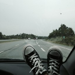 Why I would give anything in the world to be Danny Michel right now.